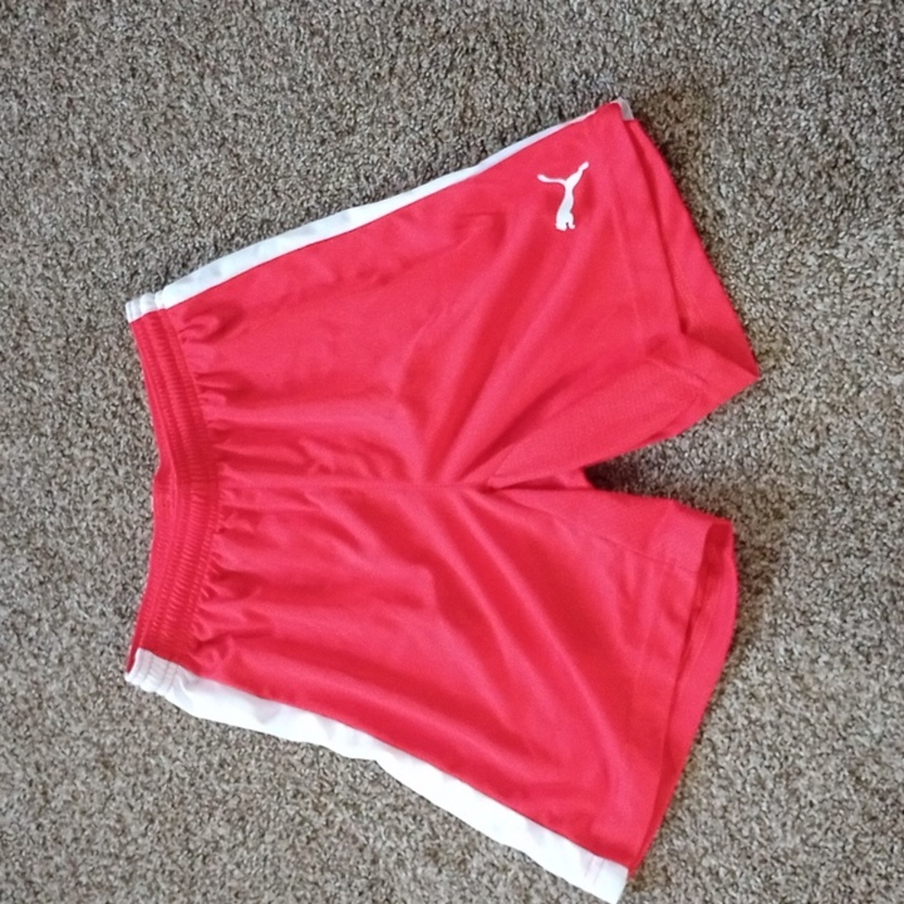 Puma shorts, brand new no tags
